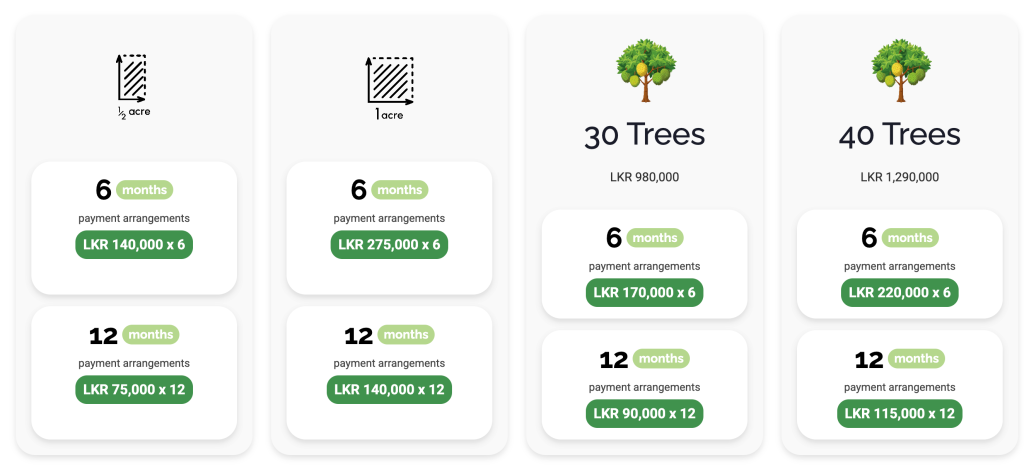 Pricing